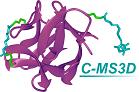 C-MS3D Logo